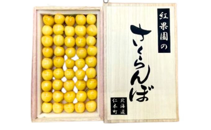 北海道仁木町のふるさと納税 北海道 仁木町産 さくらんぼ【 月山錦 】一段並べ 桐箱入り 500g 2Lサイズ以上　食後 デザート 旬の果物 サクランボ チェリー フルーツ 果物 果物類 ギフト 贈答品 仁木町 仁木 [峠のふもと紅果園]