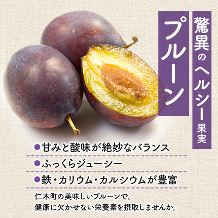 北海道仁木町のふるさと納税 [先行受付] 北海道 仁木町 大玉 プルーン 約2kg サイズ混載 【 パープルアイ 】 果物 果物類 くだもの フルーツ ジューシー [峠のふもと紅果園]