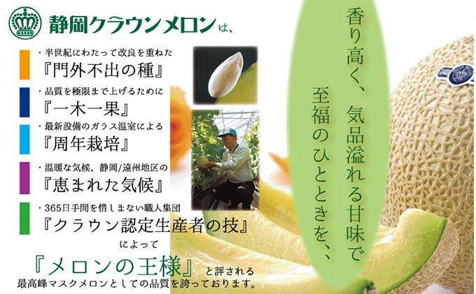 静岡県浜松市のふるさと納税 クラウンメロン　特大玉×2玉【3ヶ月定期便】【配送不可：離島】 果物類 メロン青肉