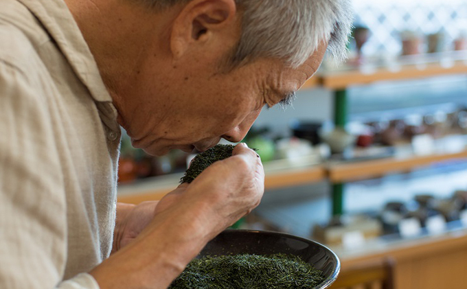 静岡県浜松市のふるさと納税 【「いしだ茶屋」おすすめセット】浜松茶100g×5袋 お茶 緑茶 浜松市