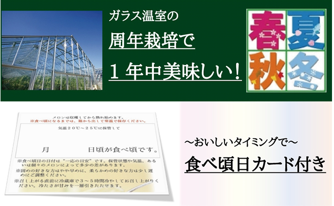 静岡県浜松市のふるさと納税 クラウンメロン　特大玉×2玉【3ヶ月定期便】【配送不可：離島】 果物類 メロン青肉