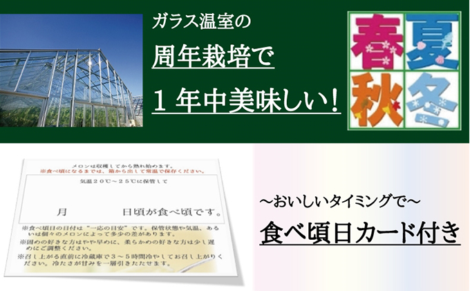 静岡県浜松市のふるさと納税 クラウンメロン　山×2玉【3ヶ月定期便】【配送不可：離島】 果物類 メロン青肉