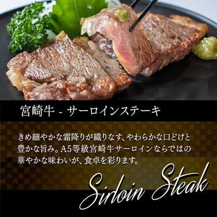 宮崎県都城市のふるさと納税 宮崎牛(A5)ステーキ食べ比べ300g_AC-01-004