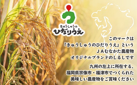 福岡県福津市のふるさと納税 【令和7年産米】【2025年11月より順次発送】JAよりお届け！「ひのひかり」 5kg（5kg×1袋）[G2314b]