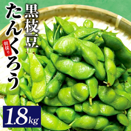【先行予約】朝採り直送 黒枝豆 1.8kg