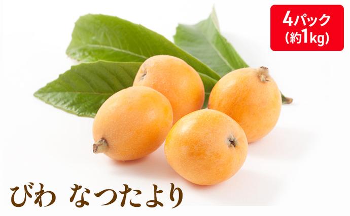 香川県綾川町のふるさと納税 なつたより（びわ）4パック入り(約１Kg) 果物類 フルーツ 枇杷 ビワ