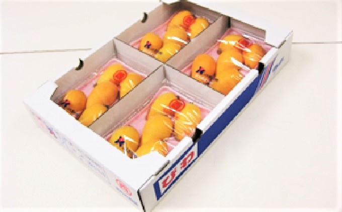 香川県綾川町のふるさと納税 なつたより（びわ）4パック入り(約１Kg) 果物類 フルーツ 枇杷 ビワ