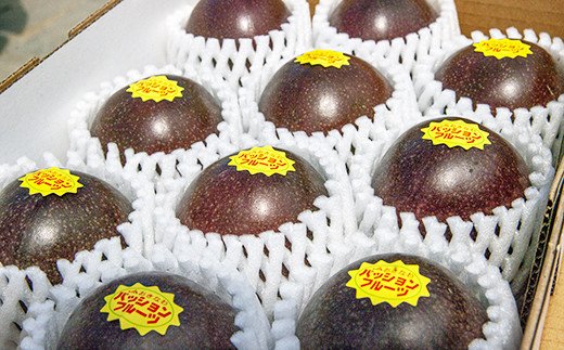 沖縄県南風原町のふるさと納税 【2026年発送】津嘉山パッションフルーツ　約1kg