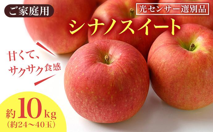 長野県小諸市のふるさと納税 りんご シナノスイート 家庭用 約10kg  フルーツ 果物 甘い 訳あり おいしい 林檎