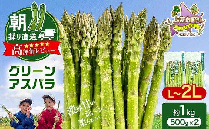 北海道上富良野町のふるさと納税 【令和8年産】アスパラガス 専門農家 の 特選 グリーン アスパラ 1kg  L～2L 原農園 アスパラ あすぱら 野菜 北海道 上富良野町