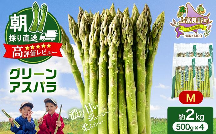 北海道上富良野町のふるさと納税 【令和8年産】アスパラ 専門農家 の 特選 グリーンアスパラ 2kg M アスパラガス 原農園 朝採りアスパラ 野菜 北海道 上富良野町 グリーンアスパラ