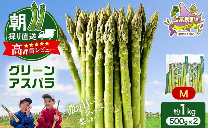 北海道上富良野町のふるさと納税 【令和8年産】アスパラ 専門農家 の 特選 グリーン アスパラ 1kg M アスパラガス 原農園 あすぱら 野菜 北海道 上富良野町 グリーンアスパラ