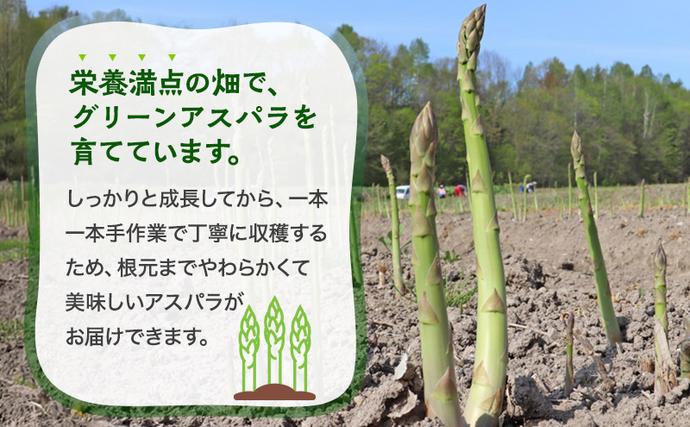 北海道上富良野町のふるさと納税 【令和8年産】アスパラ 専門農家 の 特選 グリーン アスパラ 2kg M アスパラガス 原農園 あすぱら 野菜 北海道 上富良野町 グリーンアスパラ