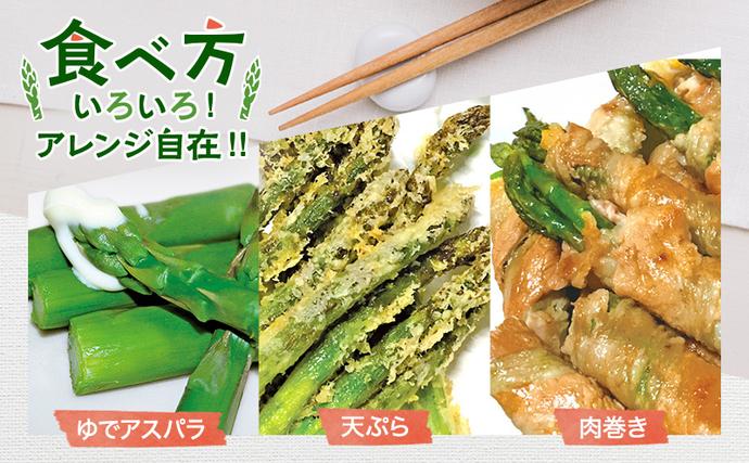 北海道上富良野町のふるさと納税 【令和8年産】アスパラ 専門農家 の 特選 グリーン アスパラ 1kg M アスパラガス 原農園 あすぱら 野菜 北海道 上富良野町 グリーンアスパラ