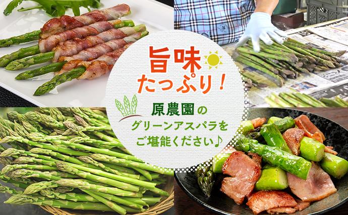 北海道上富良野町のふるさと納税 【令和8年産】アスパラ 専門農家 の 特選 グリーン アスパラ 2kg M アスパラガス 原農園 あすぱら 野菜 北海道 上富良野町 グリーンアスパラ