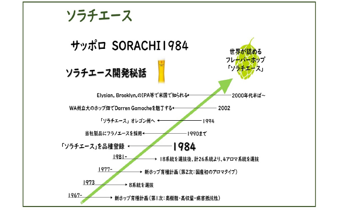 北海道上富良野町のふるさと納税 ◆定期便(全12回)◆SORACHI 1984≪ソラチ1984≫1箱（350ml×12缶） 吉澤商店 北海道 上富良野町 ソラチ1984 お酒 酒 飲み物 ビール 地ビール サッポロビール サッポロ ギフト