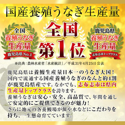 鹿児島県志布志市のふるさと納税 【数量限定】チンする♪霧島湧水鰻重セット 2食入 620g(蒲焼半身＋味付けご飯 [計310g×2食]) a1-049