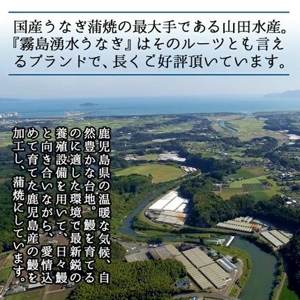 鹿児島県志布志市のふるさと納税 【数量限定】チンする♪霧島湧水鰻重セット 2食入 620g(蒲焼半身＋味付けご飯 [計310g×2食]) a1-049
