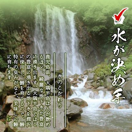 鹿児島県志布志市のふるさと納税 【数量限定】チンする♪霧島湧水鰻重セット 2食入 620g(蒲焼半身＋味付けご飯 [計310g×2食]) a1-049