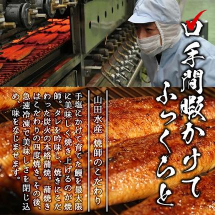 鹿児島県志布志市のふるさと納税 【数量限定】チンする♪霧島湧水鰻重セット 2食入 620g(蒲焼半身＋味付けご飯 [計310g×2食]) a1-049
