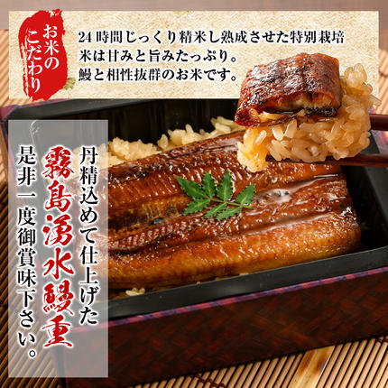 鹿児島県志布志市のふるさと納税 【数量限定】チンする♪霧島湧水鰻重セット 2食入 620g(蒲焼半身＋味付けご飯 [計310g×2食]) a1-049