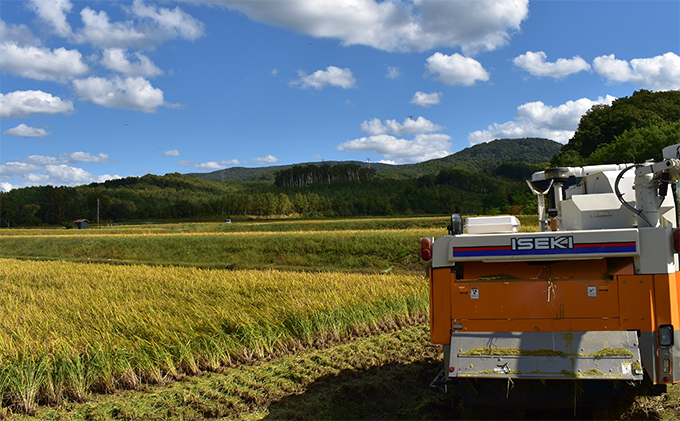 北海道仁木町のふるさと納税 【2025年産米】6ヵ月 定期便 銀山米研究会の無洗米＜ゆめぴりか＞5kg　ご飯 ライス 白米 ブランド米 おにぎり お弁当 北海道産 産地直送 ご飯 時短 朝ごはん 夜ごはん 昼ごはん [株式会社 松原米穀]