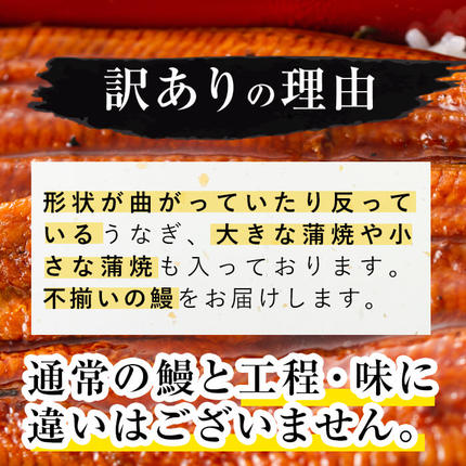 鹿児島県志布志市のふるさと納税 【訳あり・数量限定】復活！不揃いのうなぎ達 計800g以上(鹿児島県産 鰻の蒲焼き) b2-040