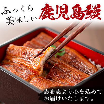 鹿児島県志布志市のふるさと納税 【訳あり・数量限定】復活！不揃いのうなぎ達 計800g以上(鹿児島県産 鰻の蒲焼き) b2-040