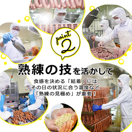 鹿児島県志布志市のふるさと納税 【訳あり・業務用】合計3kg！どんどん使える！ポークウインナー(1kg×3袋) a1-047