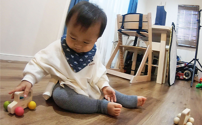 埼玉県飯能市のふるさと納税 出産祝いや誕生日プレゼントに! 「木のおもちゃロングセラー3点セット」[52210559] 玩具 工芸品