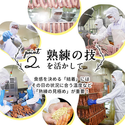 鹿児島県志布志市のふるさと納税 【入金確認後、2週間以内に発送！】【訳あり・業務用】鹿児島黒豚あらびきウインナー 計1.8kg(900g×2袋) a1-091-2w