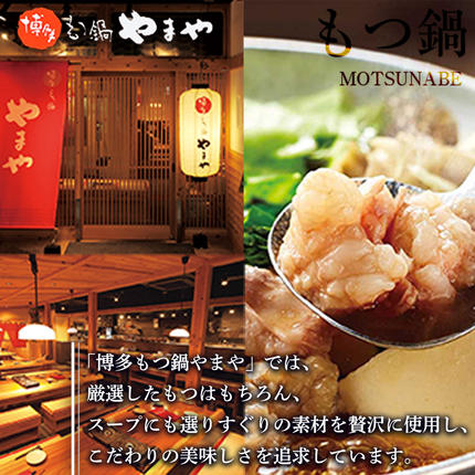 福岡県篠栗町のふるさと納税 もつ鍋セット　牛もつたっぷり600g！大容量5-6人前　博多もつ鍋やまや　国産牛もつ　篠栗町本社　AZ039