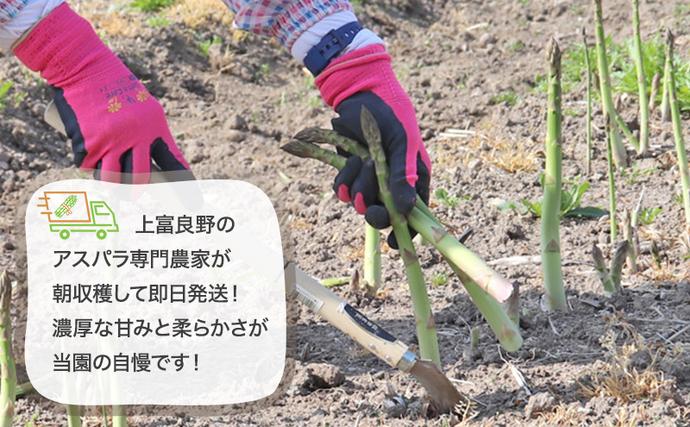 北海道上富良野町のふるさと納税 【令和8年産】アスパラ 専門農家 の 特選 グリーン アスパラ 2kg M アスパラガス 原農園 あすぱら 野菜 北海道 上富良野町 グリーンアスパラ