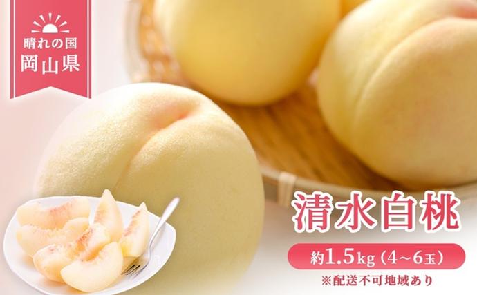 2026年 先行予約】 桃 岡山県産 清水 白桃 約1.5kg(4～6玉) 《2026年7