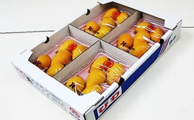 香川県東かがわ市のふるさと納税 初夏の果実 なつたより（びわ）約1kg 果物類 フルーツ 枇杷