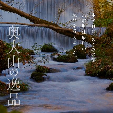 鳥取県江府町のふるさと納税 天然水奥大山 2リットル 1箱(6本入り) ミネラルウォーター 軟水 ペットボトル 2L 4000円 水工場ヨーデル みず PET 0532