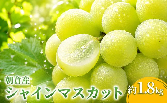 ふるさと納税・】シャインマスカット（2kg）＜筑前あさくら農協＞果物類・ぶどう・マスカット・フルーツ・シャインマスカット・ブドウ・果物・甘いぶどう・贈り物