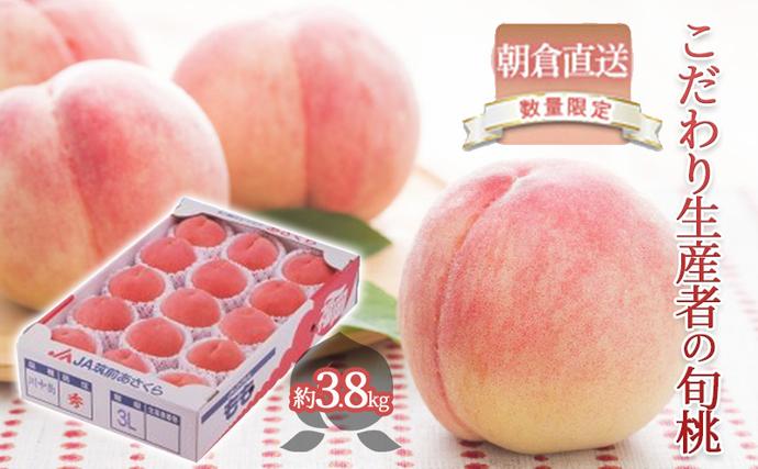 福岡県朝倉市のふるさと納税 限定 数量 桃 もも モモ 3.8kg 2026年 発送 フルーツ 果物 くだもの デザート 筑前あさくら農協 オンライン決済限定 配送不可 離島