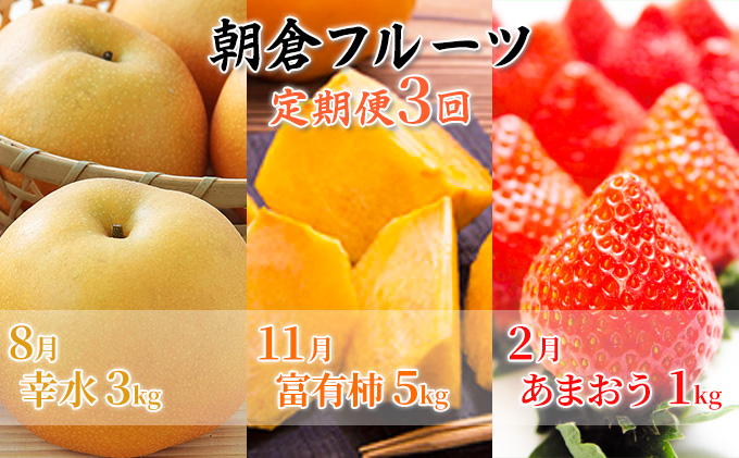 定期便 フルーツ 3回 お届け 数量限定 