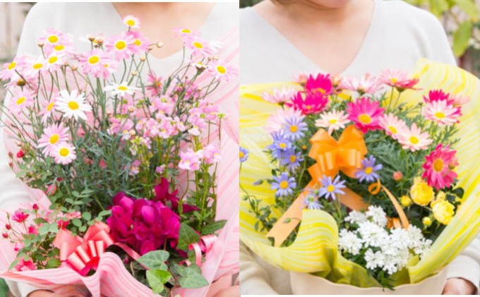 福岡県朝倉市のふるさと納税 【母の日 ギフト】季節のフラワーバスケット【白鉢】（オンライン決済限定） 花