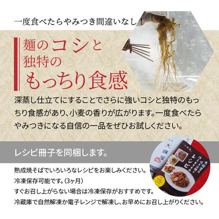 愛知県碧南市のふるさと納税 メディア紹介多数！大磯屋製麺所の熟成焼そば（深蒸し仕立て） 10食(中太麺) 特製ソース1本付き H014-023