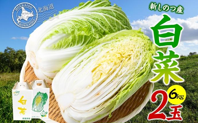 新しのつ産 白菜 2玉 約6kg はくさい ハクサイ 旬 国産 新鮮 北海道産