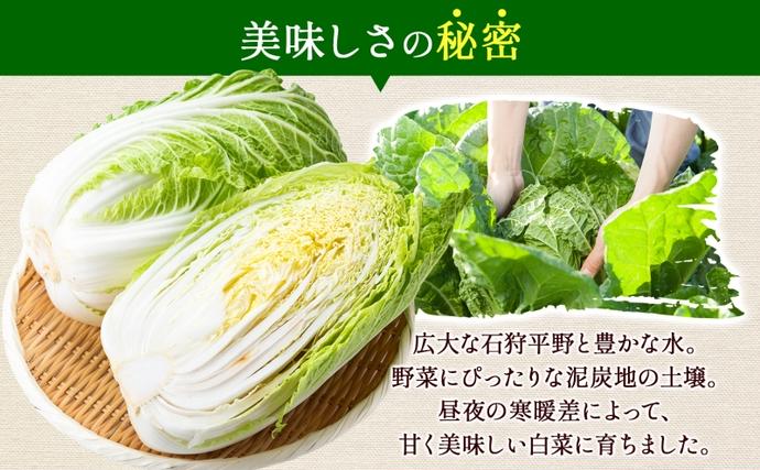 新しのつ産 白菜 2玉 約6kg はくさい ハクサイ 旬 国産 新鮮 北海道産