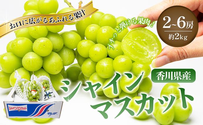 香川県東かがわ市のふるさと納税 瀬戸内のシャインマスカット 2～6房 （約2kg）  シャインマスカット マスカット 葡萄 ぶどう ブドウ フルーツ 果物 くだもの 果実 旬の果物 旬のフルーツ 香川 香川県 東かがわ市
