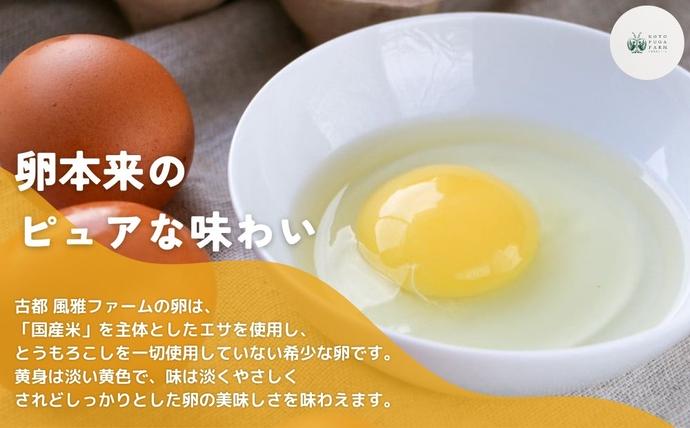 奈良県宇陀市のふるさと納税 平飼い飛鳥の卵 40個／ 卵 たまご 玉子 生卵 鶏卵 生たまご たまごかけごはん 卵焼き 目玉焼き 冷蔵 チルド 古都風雅ファーム 奈良県 宇陀市 ふるさと納税