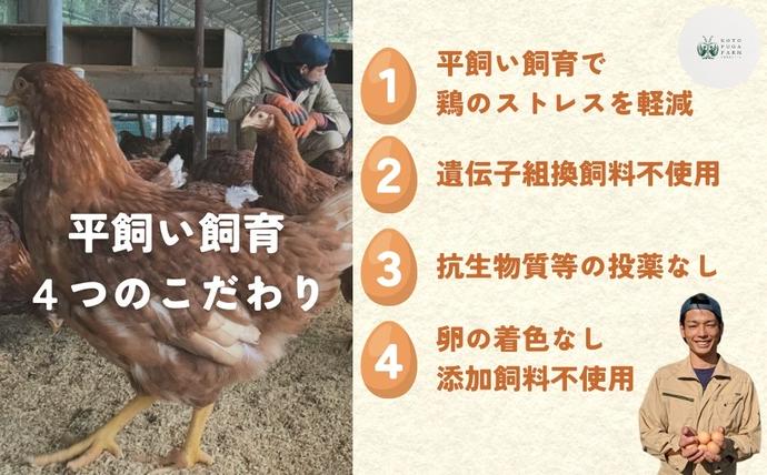 奈良県宇陀市のふるさと納税 平飼い飛鳥の卵 40個／ 卵 たまご 玉子 生卵 鶏卵 生たまご たまごかけごはん 卵焼き 目玉焼き 冷蔵 チルド 古都風雅ファーム 奈良県 宇陀市 ふるさと納税