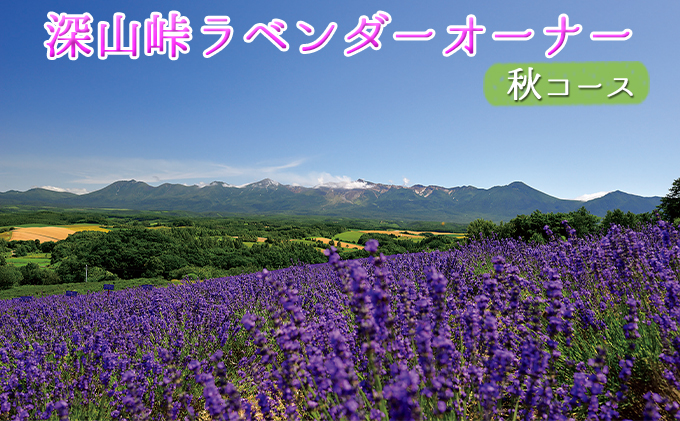 北海道上富良野町のふるさと納税 【令和8年】ラベンダーオーナー制度（秋コース） チケット 入場券 優待券 野菜 セット 詰合せ アロマグッズ