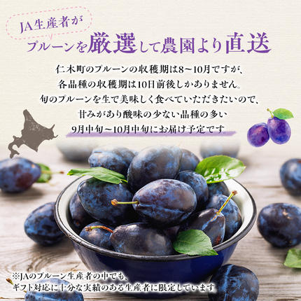 2026年発送] 北海道 仁木町産 季節のプルーン 1.6kg（400g×4パック