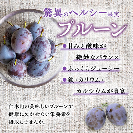 2026年発送] 北海道 仁木町産 季節のプルーン 1.6kg（400g×4パック