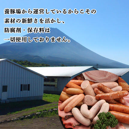 山梨県富士河口湖町のふるさと納税 【定期便】山中湖ハム自家製ソーセージ5種類の詰合せ（3ヵ月連続発送） FAB029